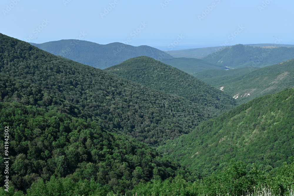 Mountains covered with green trees against the blue sky. Around the mountains covered with trees. Mountain landscape. Mountains covered with green trees against the blue sky. Around the mountains covered with trees. Mountain landscape.