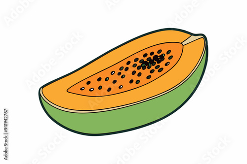 Papaya Slice Line Art Vector on White Background photo