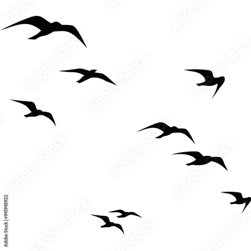 A flock of flying birds, Pigeons Flying Silhouettes, swallow Flying Silhouettes, group of birds in the sky, Silhouettes of wild birds in flight
