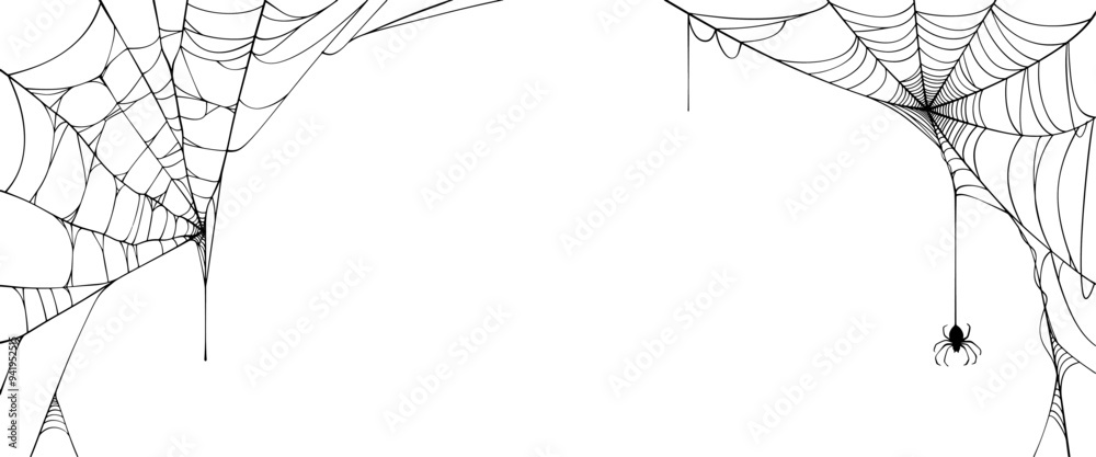 © sense - spider web frame, illustration of an cob web background, Spider web line art vector © sense - spider web frame, illustration of an cob web background, Spider web line art vector