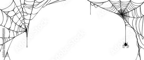 Obraz spider web frame, illustration of an cob web background, Spider web line art vector