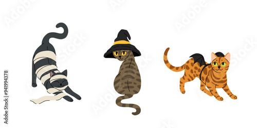 Flat cartoon set of cute cats in halloween costumes. Black cat in paper as mummy, grey tabby cat in witch hat, bengal rosette cat with bats wings. Vector halloween illustration.