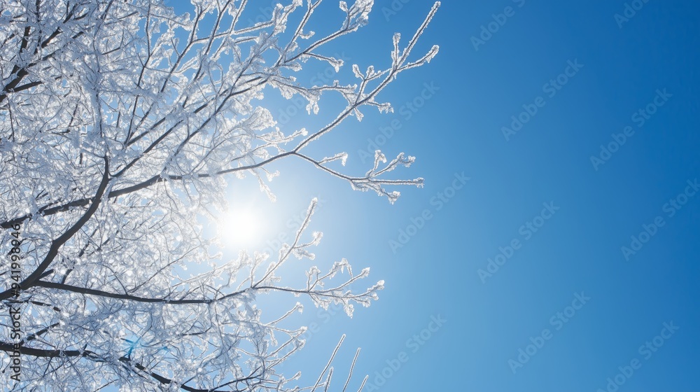 Winter background with ice crystals on tree branches Winter background with ice crystals on tree branches