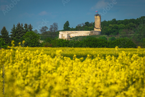 Zamek w Iłży otoczony polami rzepaku photo