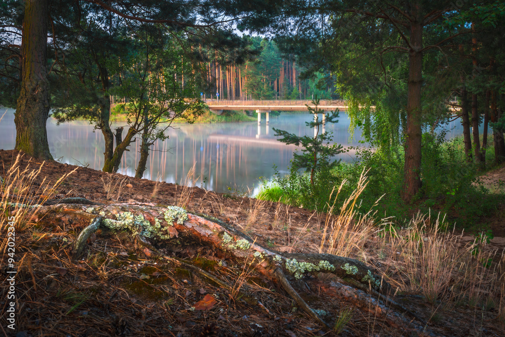 Leśny spokój nad jeziorem