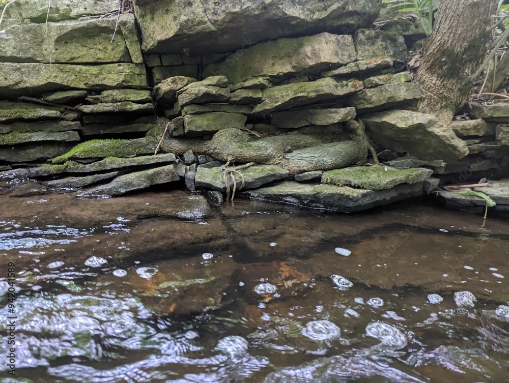 Rocky stream in the forest.
