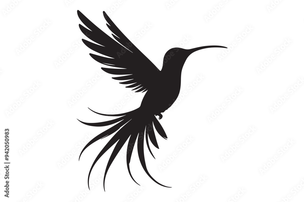 Hummingbird silhouette vector