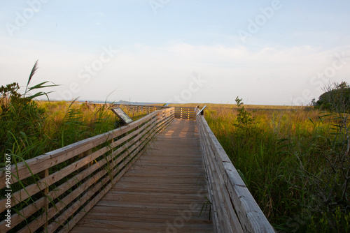 A boardwalk passes through the Currituck Banks Reserve in the Outer Banks, North Carolina, with natural vegetation and coastal forests on the side of the boardwalk. photo