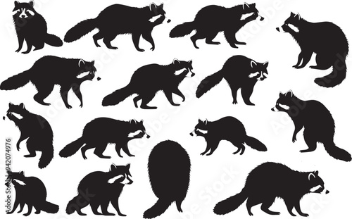 set of raccoon silhouette isolated on white background