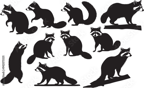 set of raccoon silhouette isolated on white background