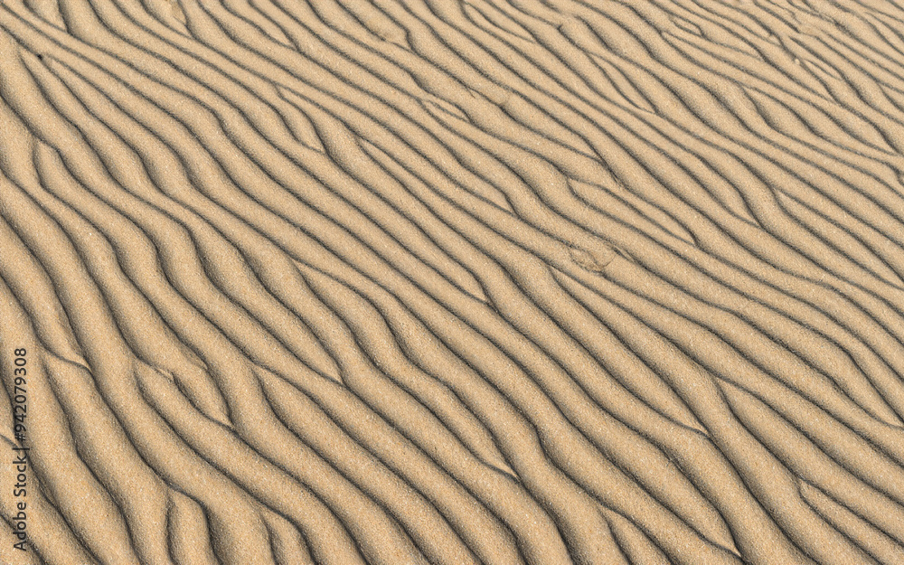 sand background sand background