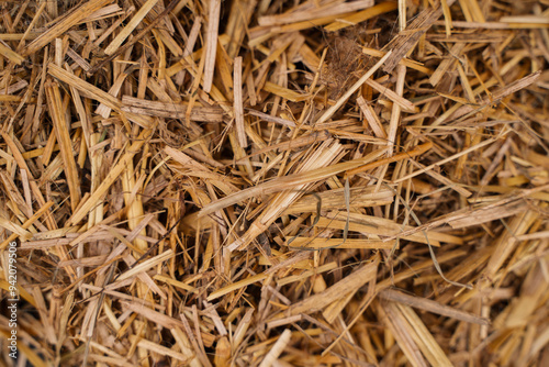 Straw close-up, natural background.