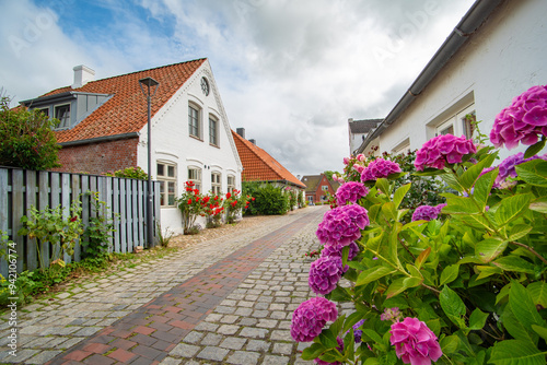 Straße im Dorf Tating auf der Halbinsel Eiderstedt photo