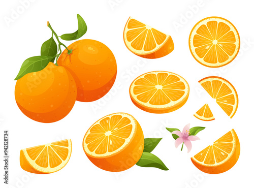 Fresh orange fruit. Vector set of oranges with flowers and leaves, whole citrus, half, cut slice. Summer Citrus tropical fruits for pattern, poster, fabric, web banner, menu. Healthy food. Vitamin C