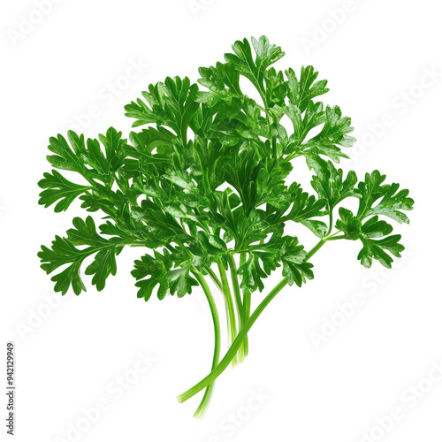 Parsley object isolated on transparent png.