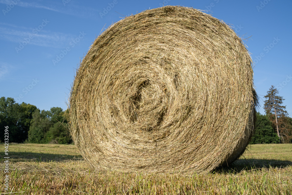 Hay bale in the farm field