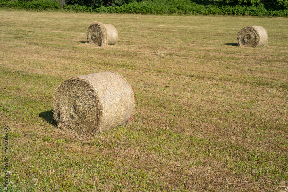Country field with hay bales in summer Country field with hay bales in summer