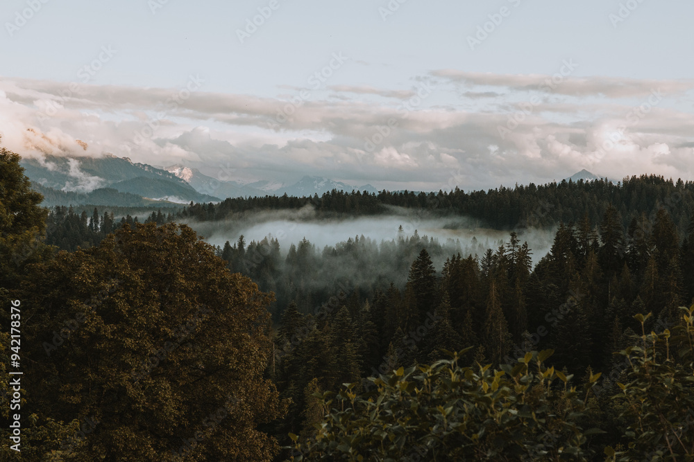 See through the fog See through the fog