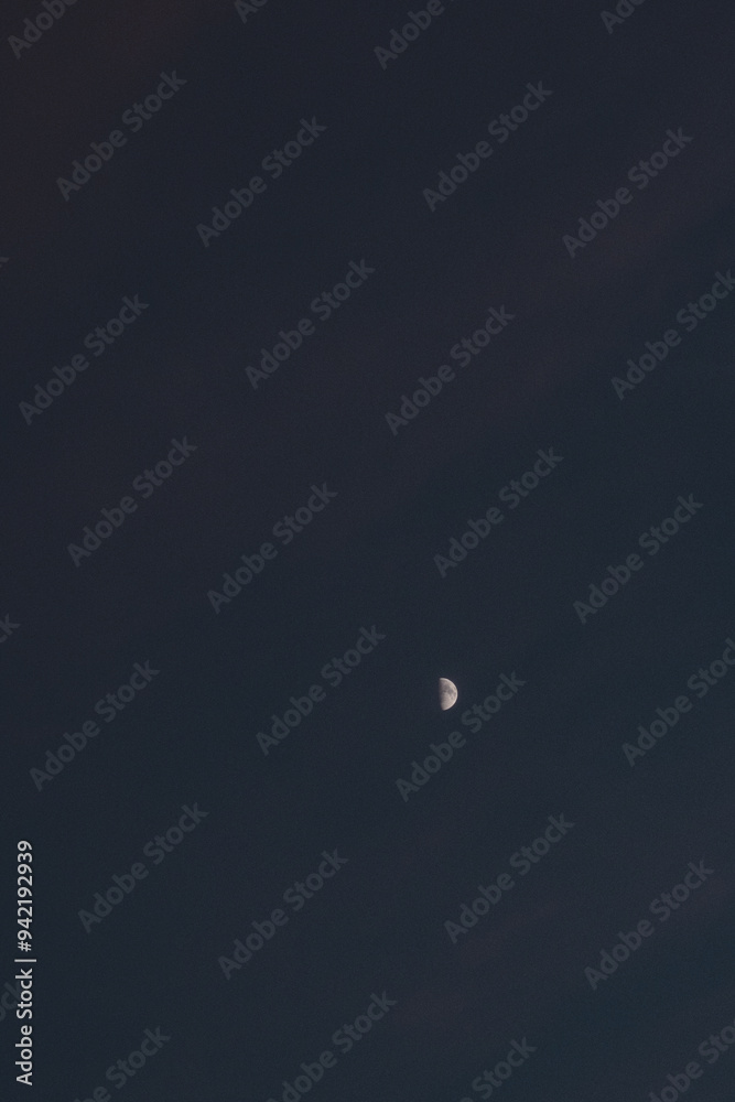 moon moon