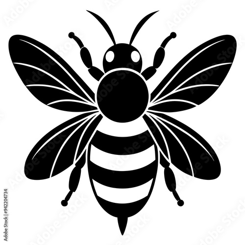 bee on white background