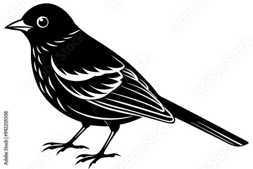 bird on a white background
