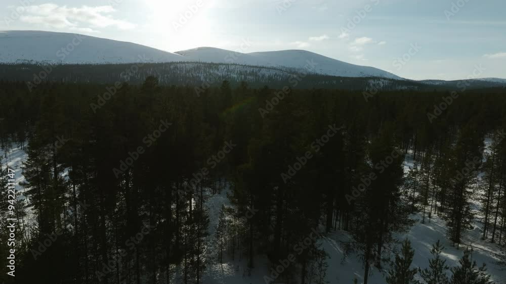 Aerial view over bare forest, toward snowy mountains, spring day in Lapland Aerial view over bare forest, toward snowy mountains, spring day in Lapland