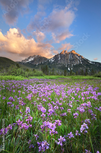 USA, Idaho. McGown Peak Sawtooth Mountains. photo