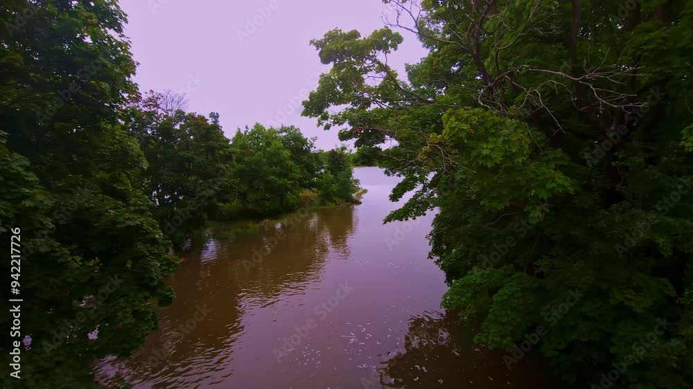 Stroudwater river Portland Maine with trees