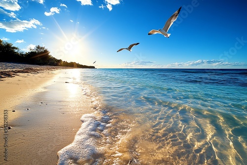 Beautiful birds flying over a sunlit beach in a travel/adventure image, highlighting the connection between land and sea