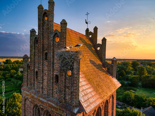 Storks at st Annet Kirchen roof. Kaliningrad, Gvardeyskoe