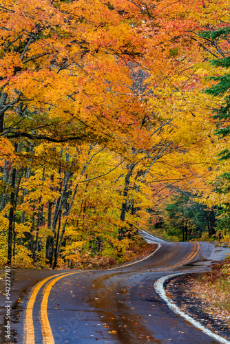 Highway 41 covered roadway in autumn near Copper Harbor in the Upper Peninsula of Michigan, USA photo