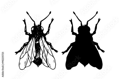Set of sketches, doodles, silhouettes of winged insect honey bee. Vector graphics.