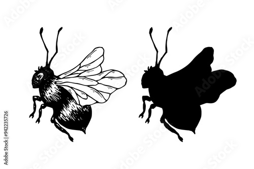Set of sketches, doodles, silhouettes of winged insect honey bee. Vector graphics.