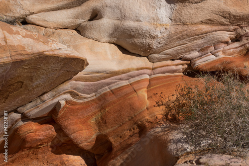 USA, Nevada. Abstract lines of sandstone rock formations, Gold Butte National Monument photo