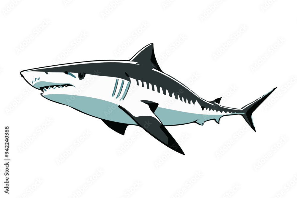 A shark on a transparent background. Vector illustration. A shark on a transparent background. Vector illustration.