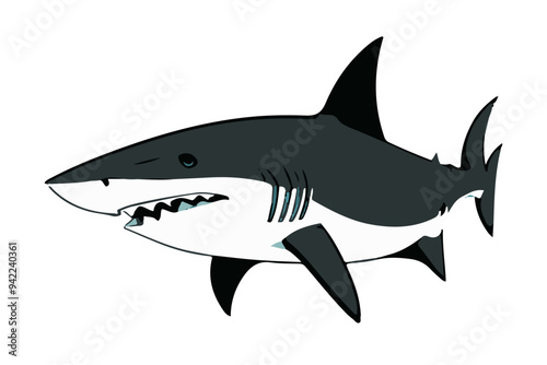 A shark on a transparent background. Vector illustration.