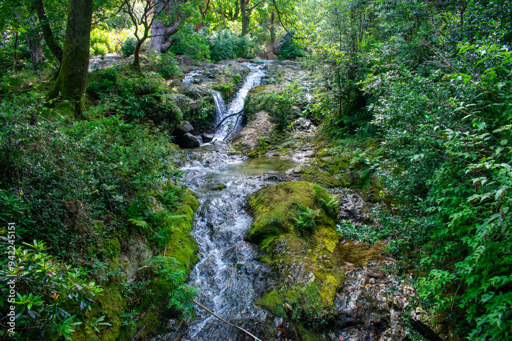 Stream and waterfall in Forest in Mourne mountains, Newcastle Northern Ireland Stream and waterfall in Forest in Mourne mountains, Newcastle Northern Ireland