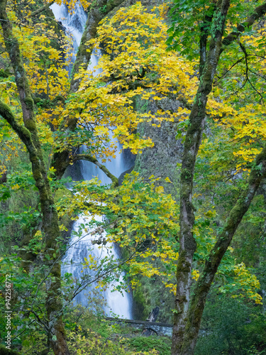 OR, Columbia River Gorge National Scenic Area, Wahkeena Falls photo