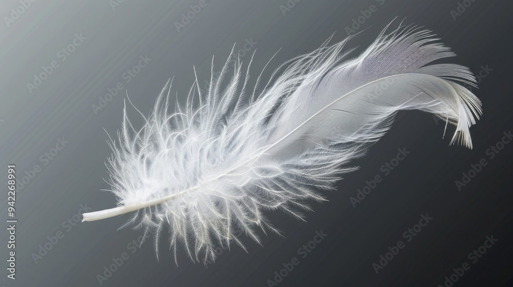 A single white feather drifting through the air, isolated on a clean background A single white feather drifting through the air, isolated on a clean background