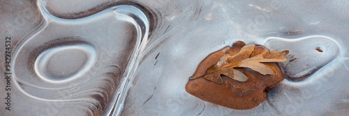 Usa, Utah, Natural Bridges National Monument. Leaf with frozen ice pattern.