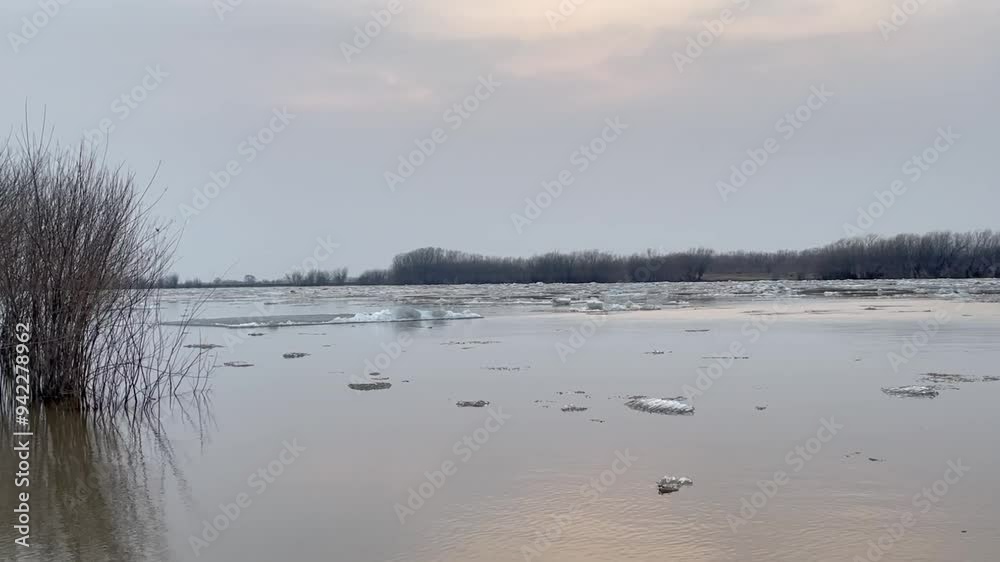 Ice drift on river in spring in gloomy weather with brown trees Ice drift on river in spring in gloomy weather with brown trees