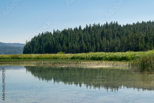 A view of trees across Paulina Lake on the Newberry National Volcanic Monument in Oregon.