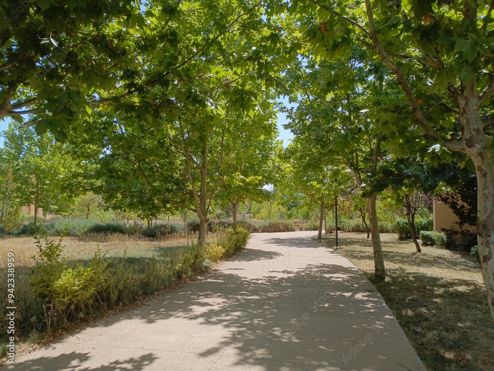 Ifrane, Morocco - August 04, 2024: The Splendor of Nature in Ifrane: Enchanting Trees and Gardens in the Heart of Morocco Ifrane, Morocco - August 04, 2024: The Splendor of Nature in Ifrane: Enchanting Trees and Gardens in the Heart of Morocco