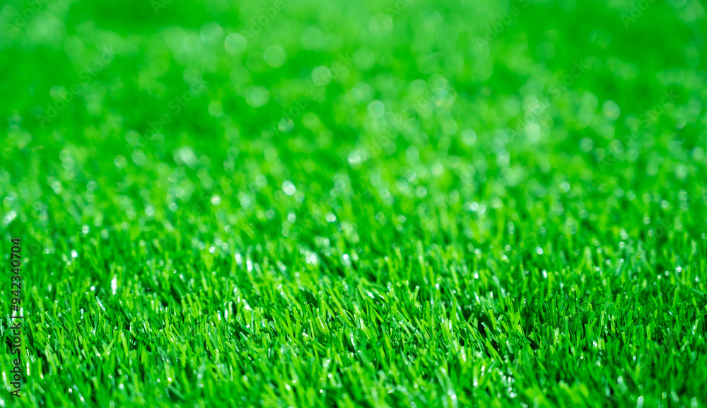 Fototapeta premium Green grass background, wallpaper