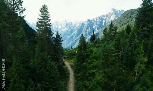A winding path through a lush green forest, inviting exploration and adventure.