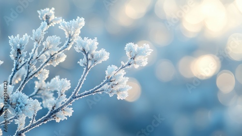 A close-up of frost-covered branches against a wintry backdrop, highlighting the intricate details of winter beauty with ample copy space.