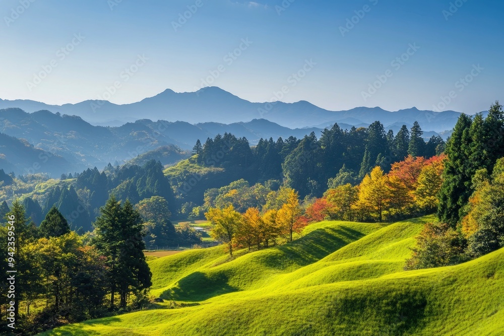 Obraz premium Green hills in Japan, morning, featuring a mountain landscape with trees in autumn colors green yellow orange under a clear blue sky, epitomizing serene natural beauty. SHOTLISTtravel , ai