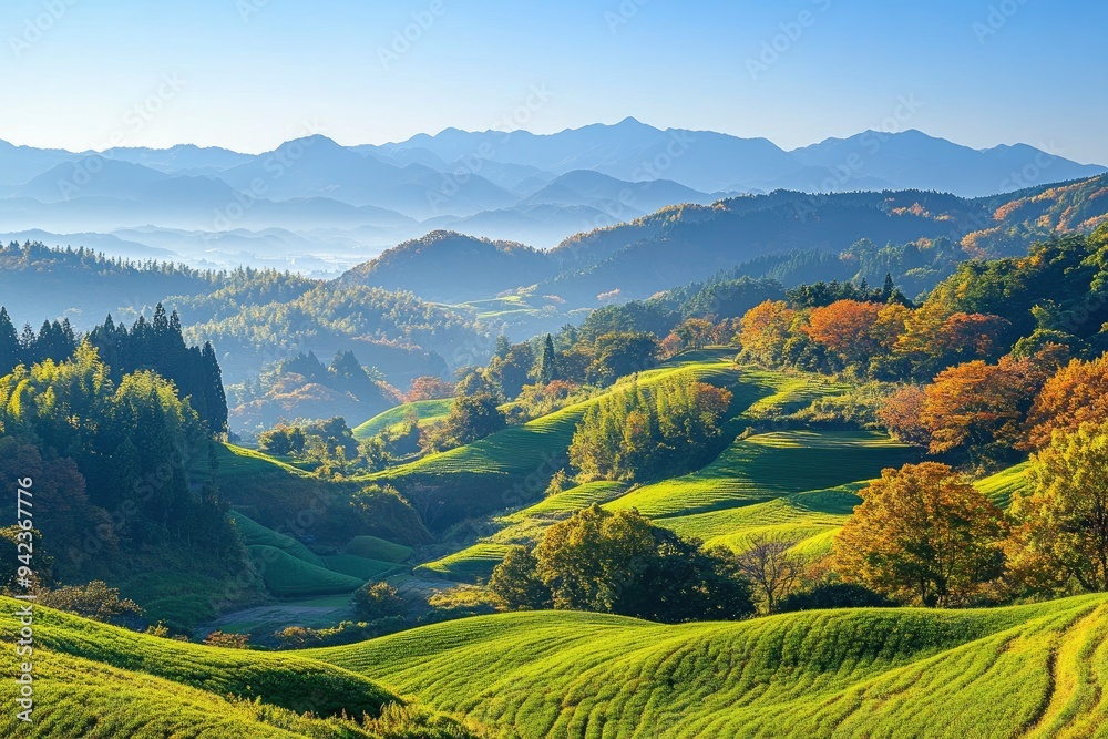 Green hills in Japan, morning, featuring a mountain landscape with trees in autumn colors green yellow orange under a clear blue sky, epitomizing serene natural beauty. SHOTLISTtravel , ai Green hills in Japan, morning, featuring a mountain landscape with trees in autumn colors green yellow orange under a clear blue sky, epitomizing serene natural beauty. SHOTLISTtravel , ai