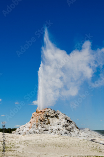 Great Fountain Geyser Yellowstone National Park, Wyoming, USA. photo