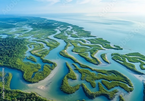 Aerial view of a river delta with intricate waterways spreading out into the sea